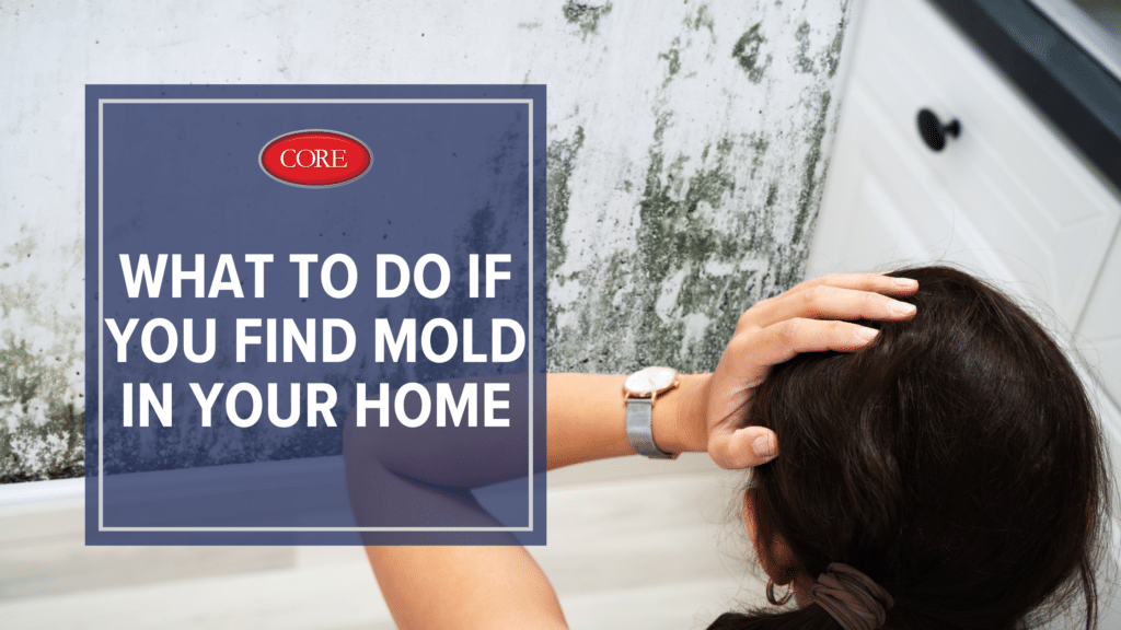 What to Do if You Find Mold in Your Home Core